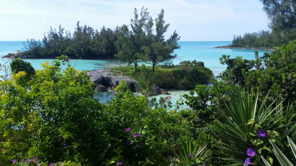 View from Railway Trail